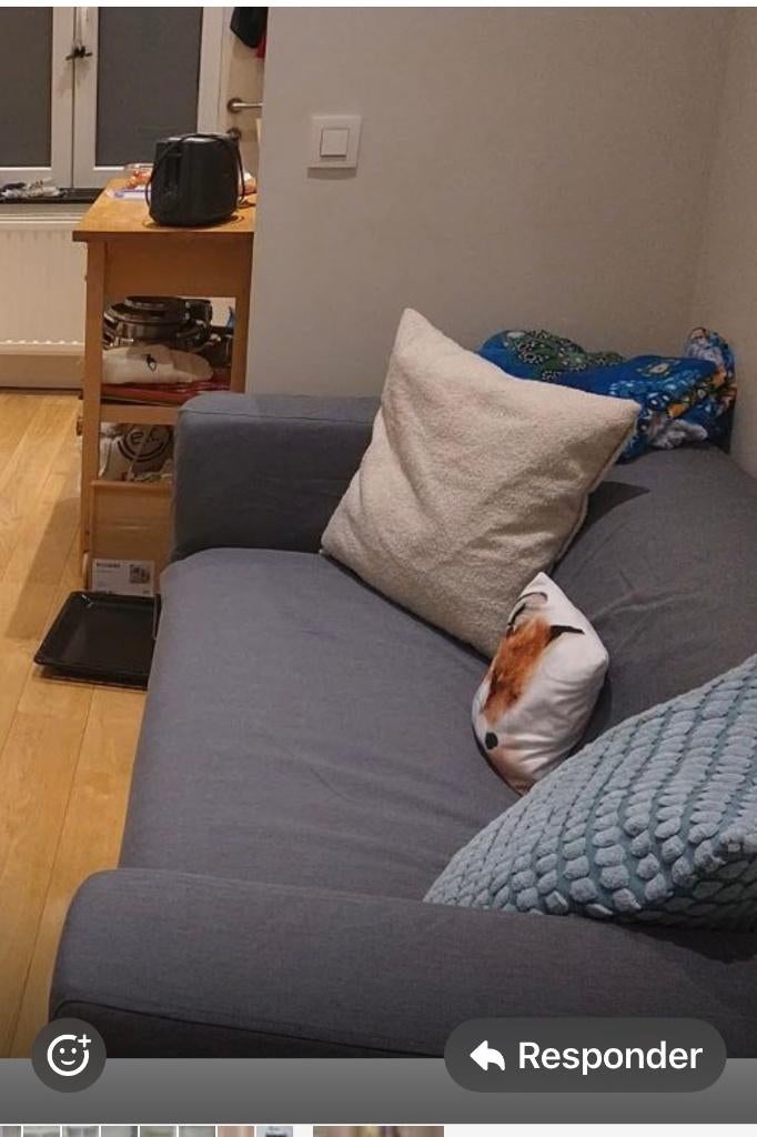 IKEA KLIPPAN-bank, Ophalen, Kunststof, 150 tot 200 cm, Tweepersoons