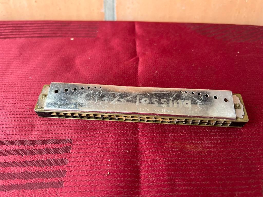 Mondharmonica, Ophalen of Verzenden, Gebruikt