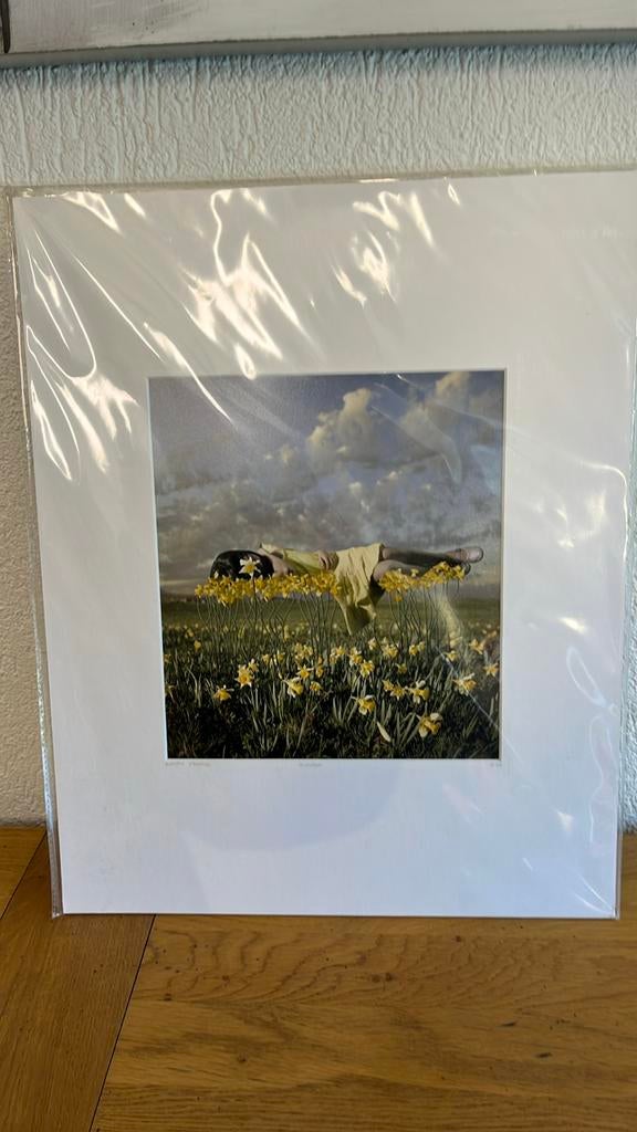 Photographie Alastair Magnaldo- yellowbud - Yellowkorner, Ophalen of Verzenden