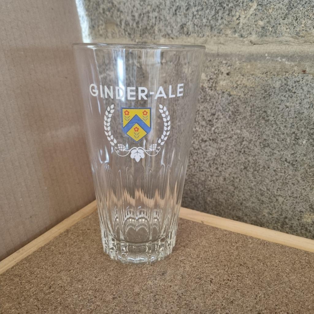 Verre Ginder Ale (modèle 8), Ophalen of Verzenden, Gebruikt, Glas of Glazen, Overige merken