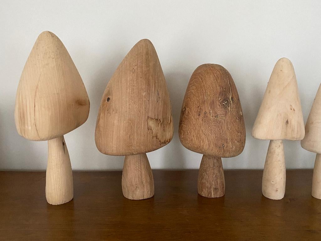 Decoratieve houten paddenstoelen handgemaakt, Enlèvement