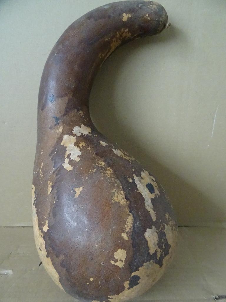 Afrikaanse kalebas shaker muziekinstrument 38cm vintage 1960, Ophalen of Verzenden, Gebruikt, Overige soorten