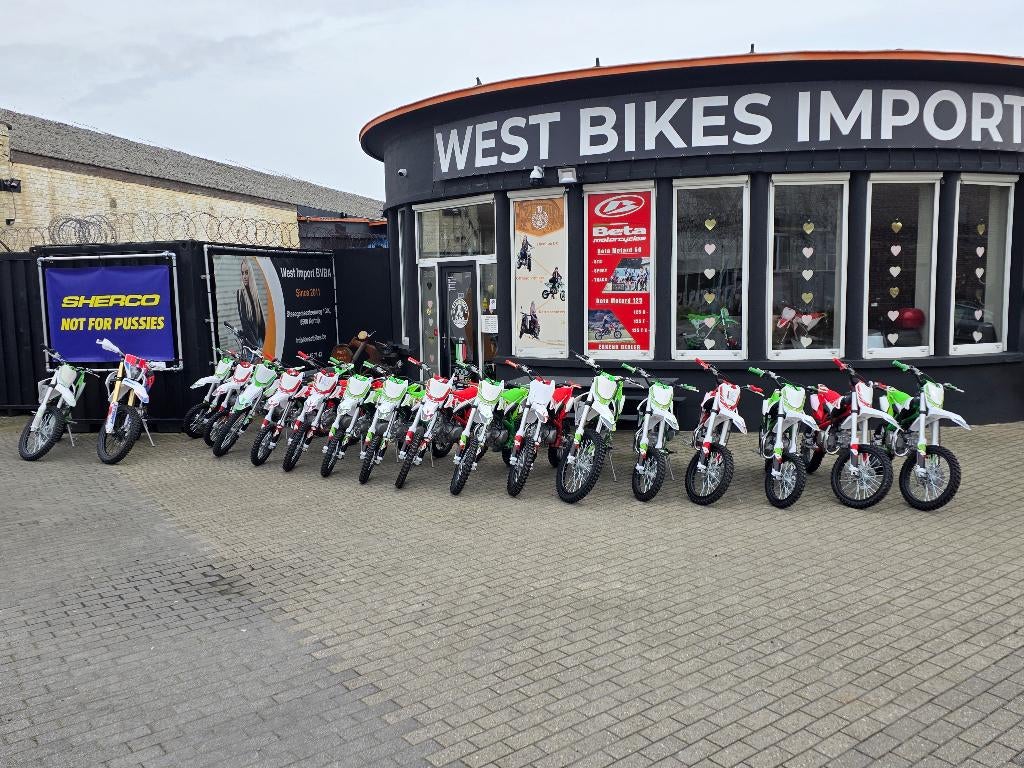 Apollo Thunder Pitbikes 140 cc Bespaar tot 300euro, Fietsen en Brommers, Minibikes, Midibikes en Pitbikes, Nieuw, Pitbike, Ophalen of Verzenden