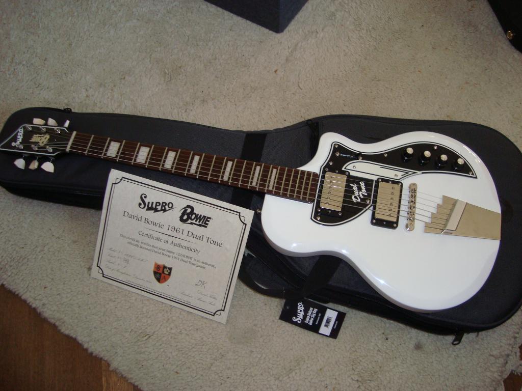 Supro, PRS, Hoyer, Eastwood, Epiphone, Ibanez, Muziek en Instrumenten, Ophalen, Gebruikt, Solid body, Paul Reed Smith