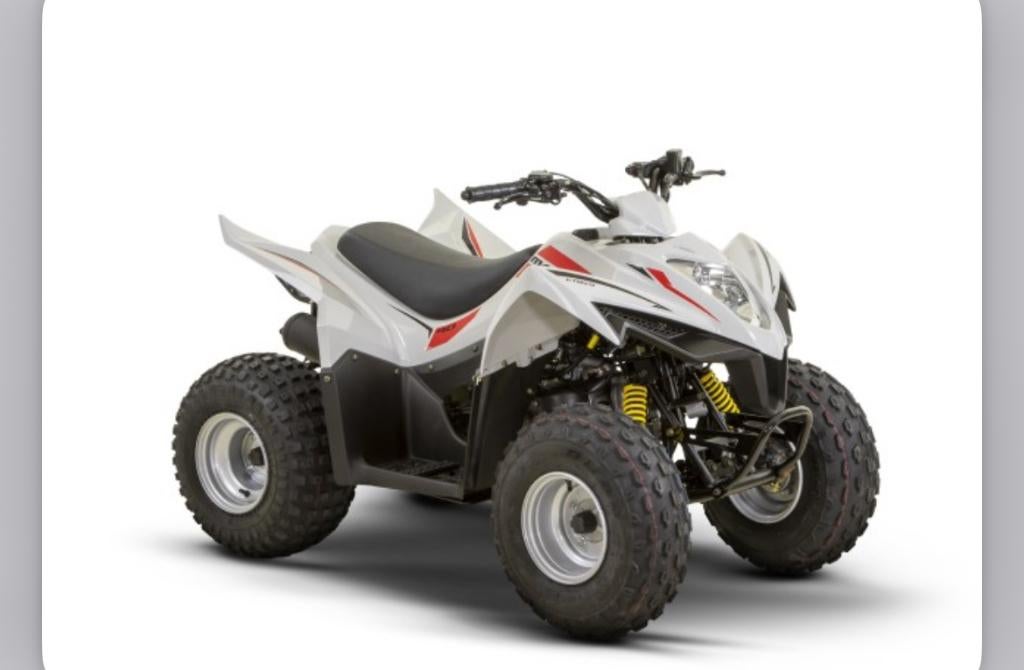 quad, Motos, Quads & Trikes, jusqu'à 11 kW, 1 cylindre, Enlèvement