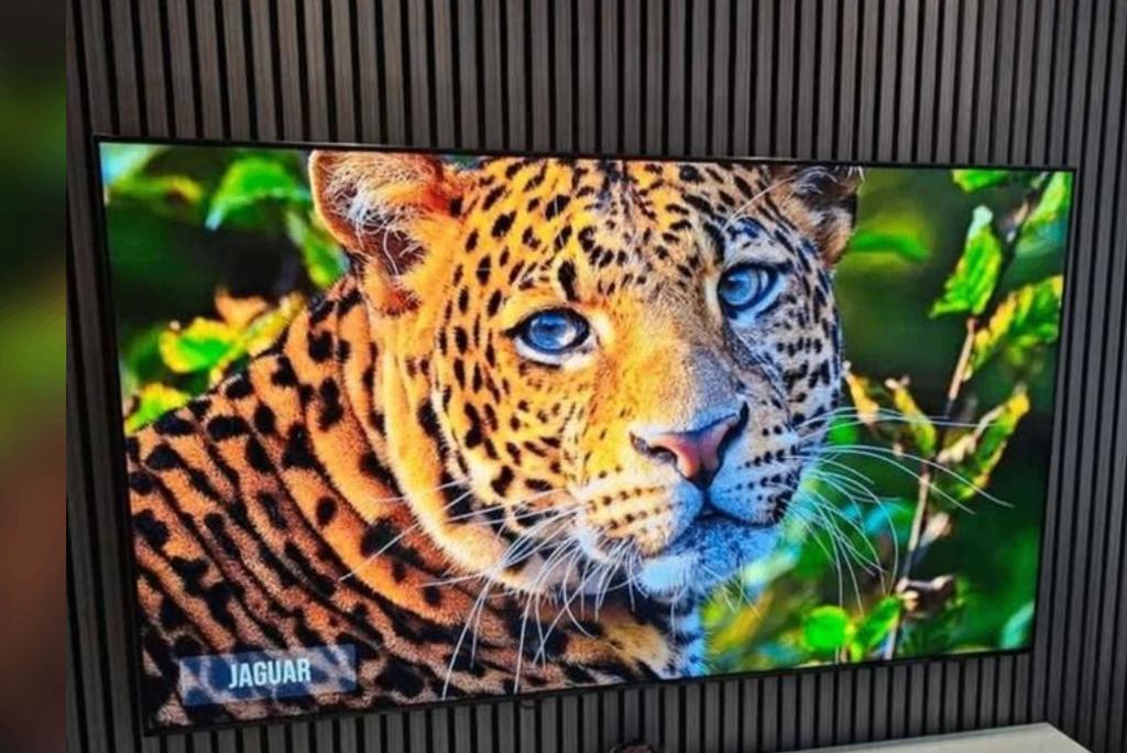 Téléviseur QLED Samsung - 75 pouces (191 cm), QLED, 120 Hz, Comme neuf, Enlèvement