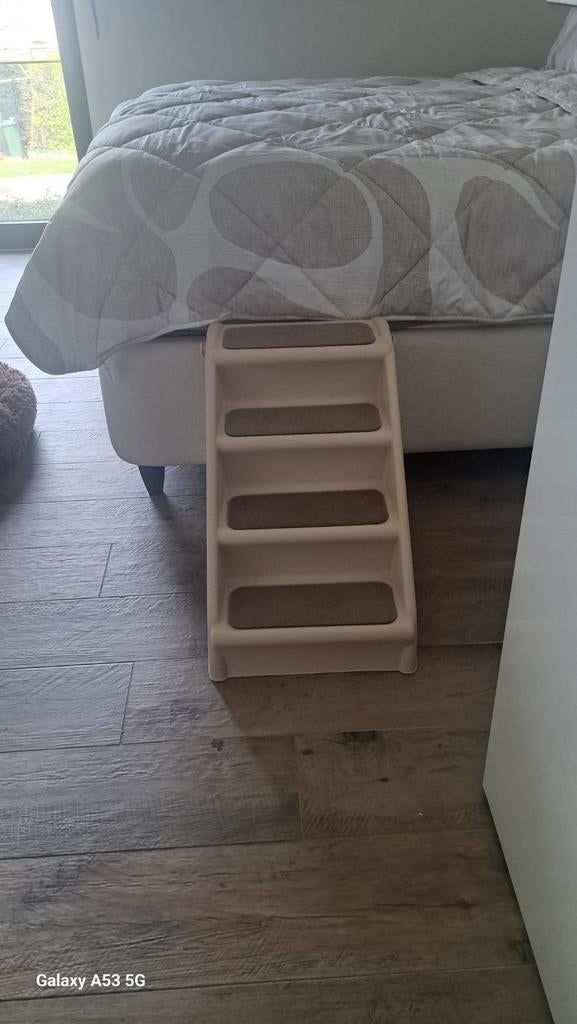 Piège à chien, Enlèvement