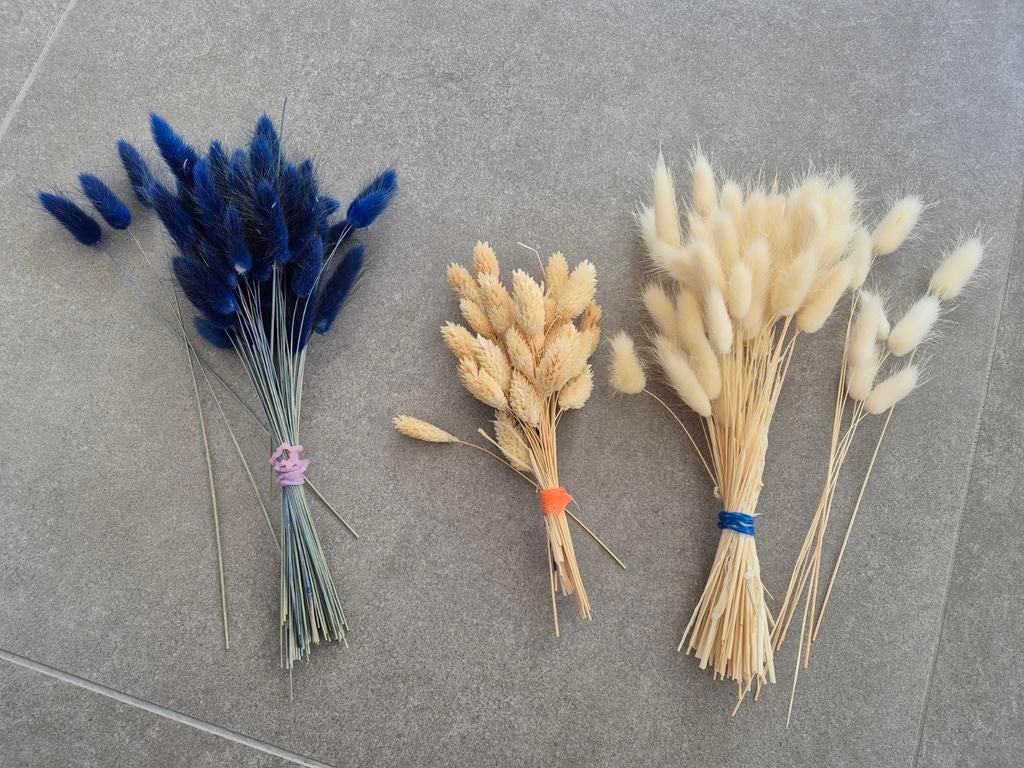 Gedroogde bloemen, Ophalen