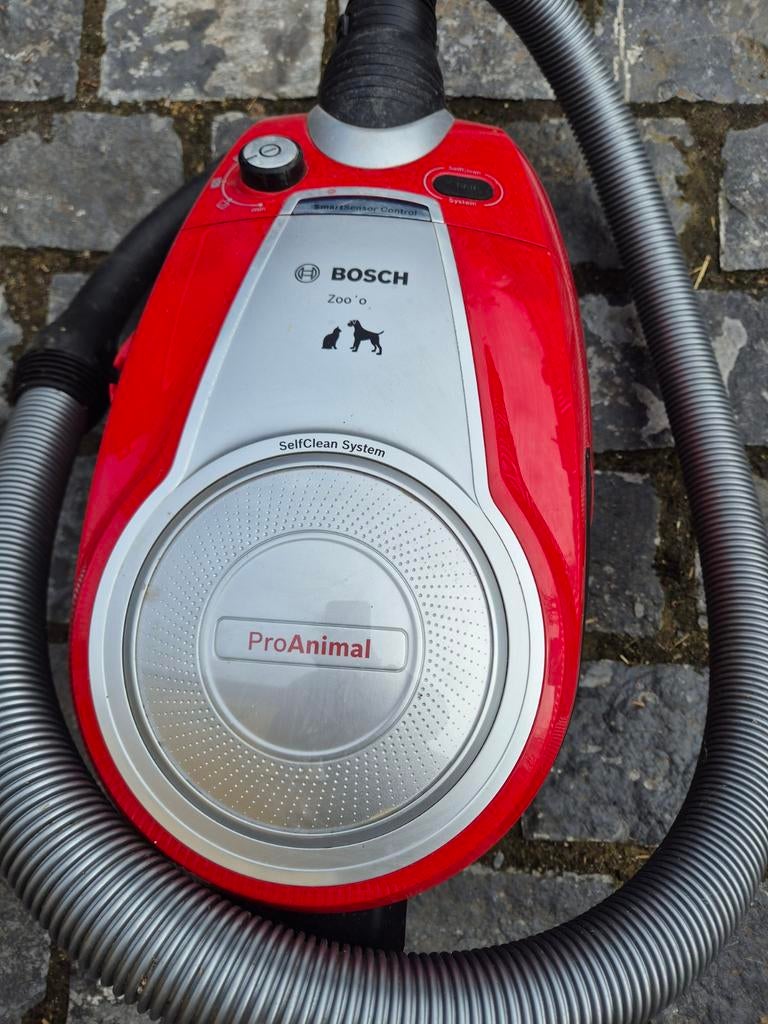 Stofzuiger miele werkt goed, Enlèvement, Aspirateur