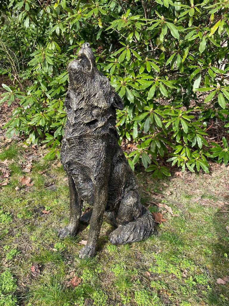 Beeld wolf, hond, terras, tuin, 75 cm, Tuin en Terras, Ophalen, Nieuw, Kunststof, Dierenbeeld
