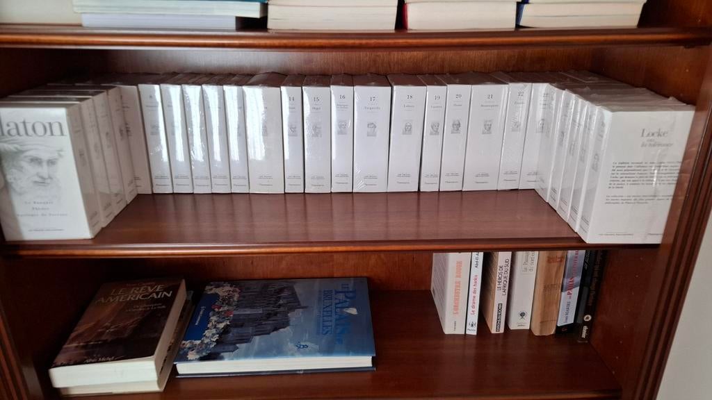 Les Grands Philosophes de chez Flammarion, Boeken, Filosofie, Ophalen