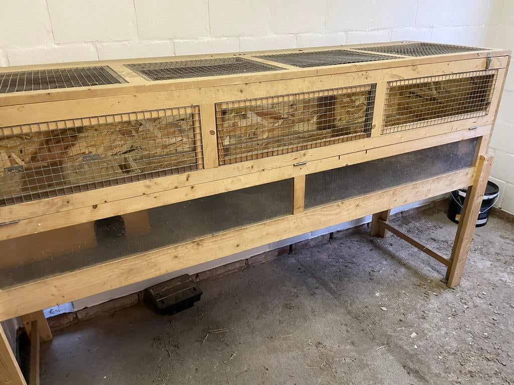 Mooi ruim hok voor cavia’s of dwerg konijnen, Dieren en Toebehoren, Ophalen, Gebruikt