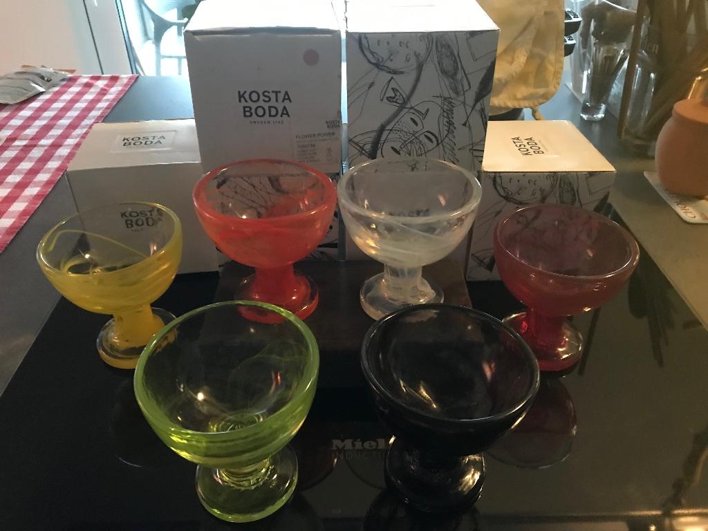 Kosta boda ijscoupes, Envoi