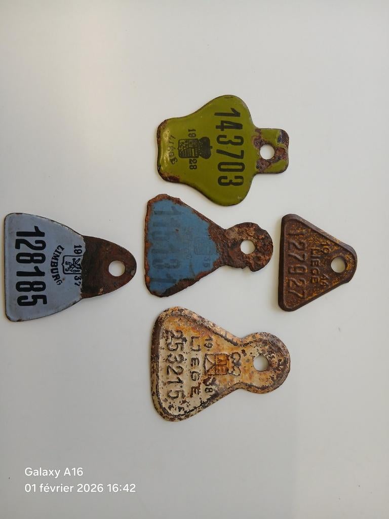 Belge ww2.  Abbl., Enlèvement ou Envoi, Autres