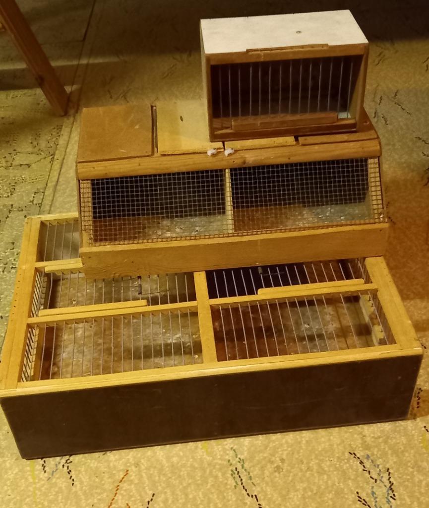 3 soorten transport kooien voor kleine vogels, Dieren en Toebehoren, Ophalen, Gebruikt, Hout, Overige typen