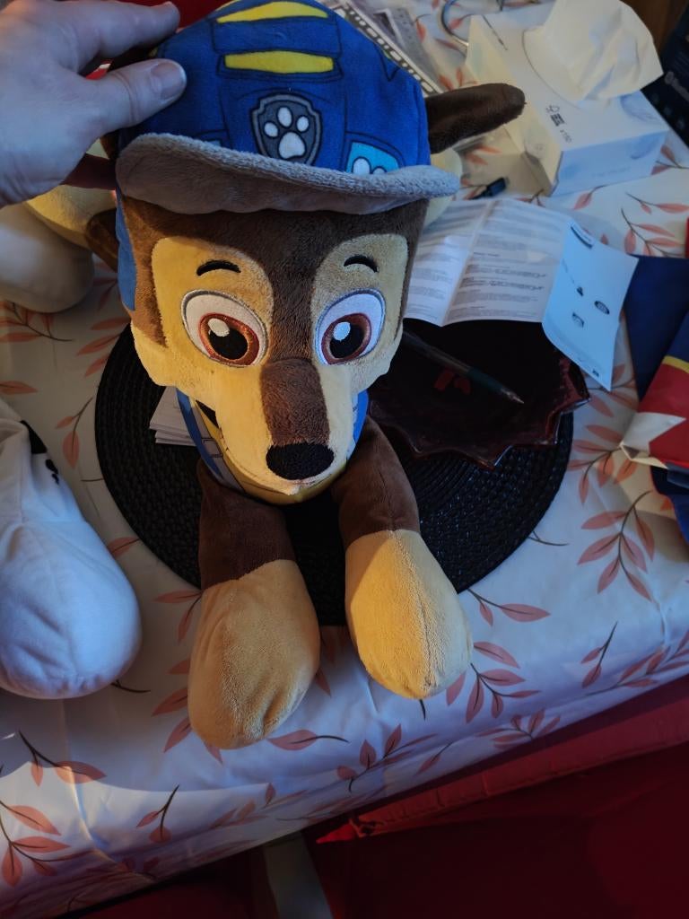 Pat patrouille, Enlèvement, Comme neuf