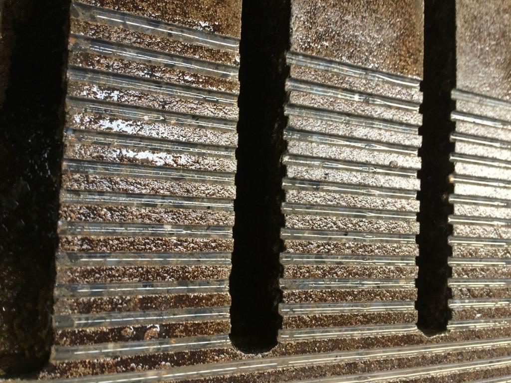 opruwen betonvloeren, Animaux & Accessoires, Bovins