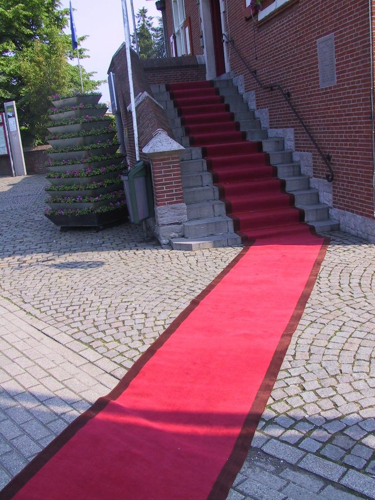 Rode loper te koop, Enlèvement, Utilisé, Article de fête