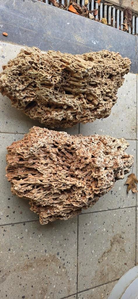 Roches décoratives Aquarium 70  €, Maison & Meubles, Accessoires pour la Maison | Couronnes, Enlèvement