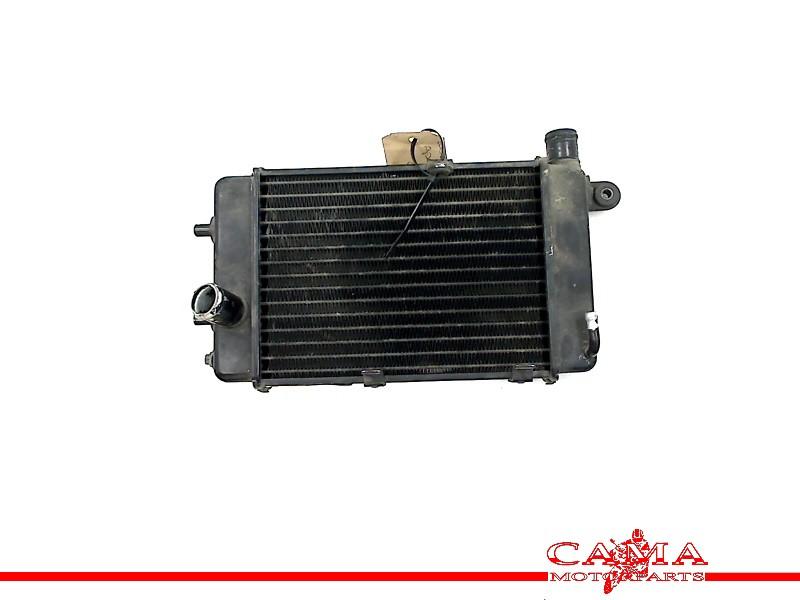 RADIATEUR Aprilia Tuono RSV 1000 (+ Factory), Motoren, Onderdelen | Overige, Gebruikt