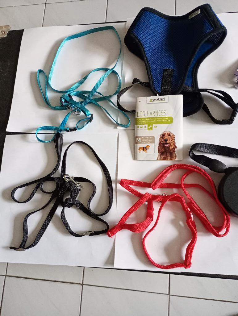 lot hondenbenodigheden - veel nieuw, Enlèvement ou Envoi, Comme neuf