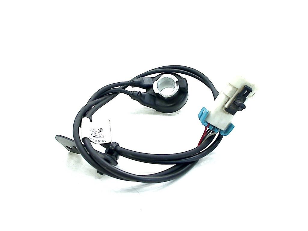 ABS SENSOR Indian Chief Dark Horse (01-2022/-), Dhr. S. di Majo, Gebruikt, Info@cama-motorparts.nl, P.J. Troelstraweg 8 8
3144 CX  MAASSLUIS, NL