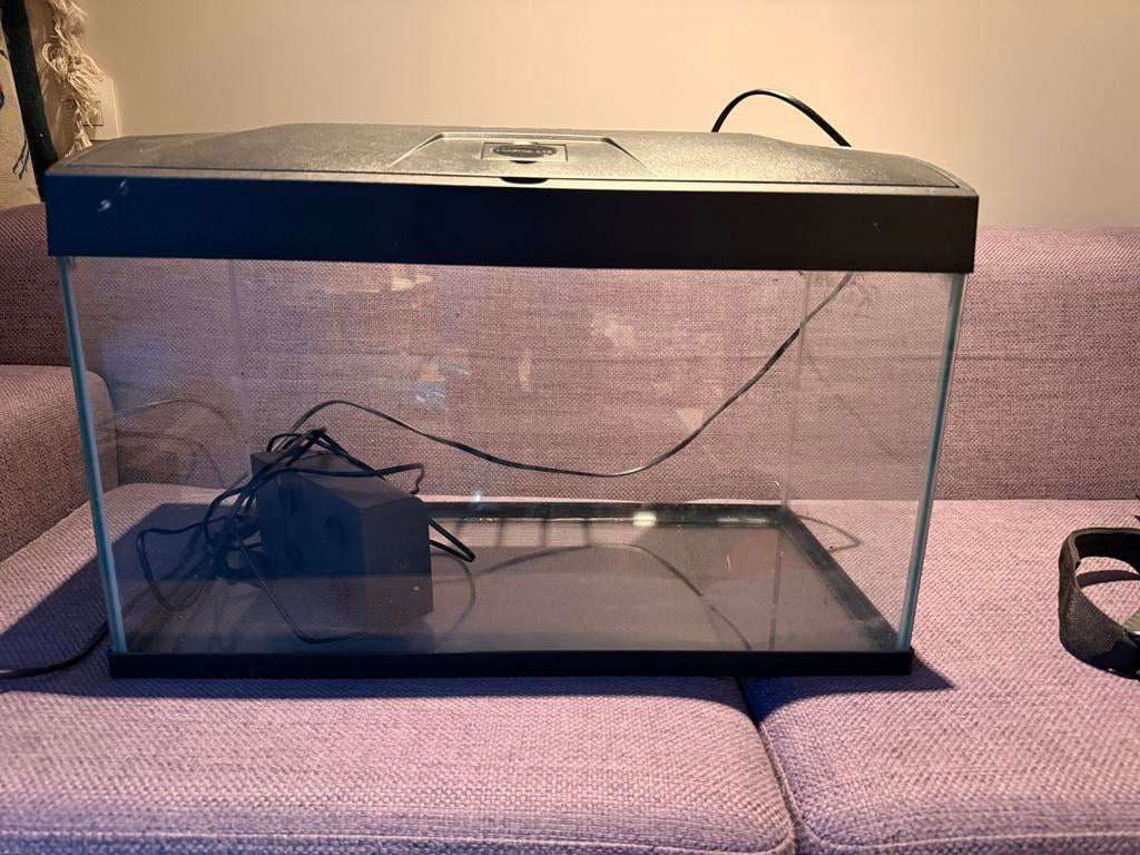 Aquarium 60 cm, Dieren en Toebehoren, Vissen | Aquaria en Toebehoren, Ophalen, Pomp, Zo goed als nieuw