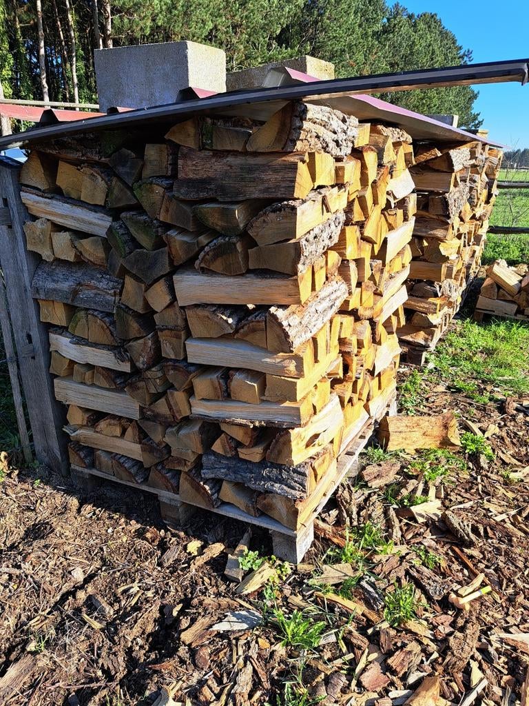 Brandhout eikenhout, Ophalen of Verzenden, Eikenhout