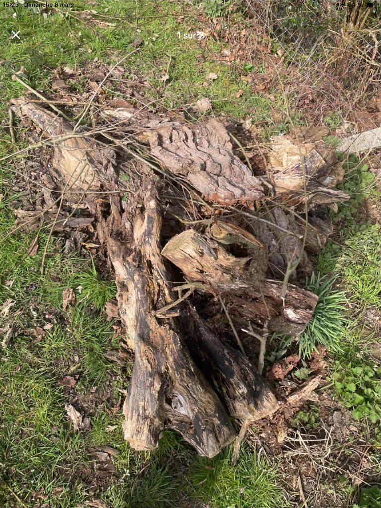 Bois à donner, Enlèvement