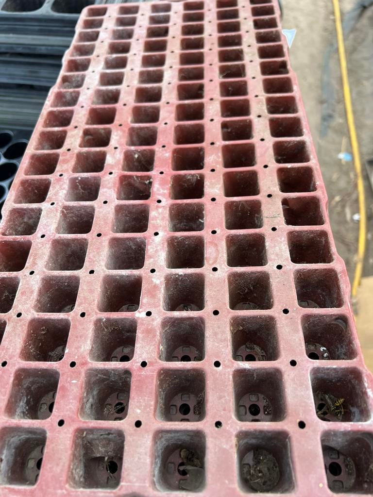 stekplaat plantplaat zaaiplaat 102 plantgaten, Jardin & Terrasse, Enlèvement ou Envoi, Moins de 25 cm, Comme neuf, Synthétique