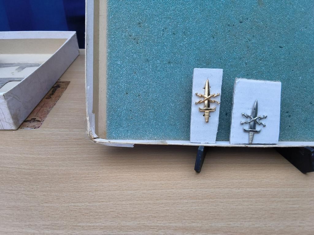 État de sécurité de la plaque chauffante : désactivation et, Collections, Objets militaires | Général, Enlèvement ou Envoi