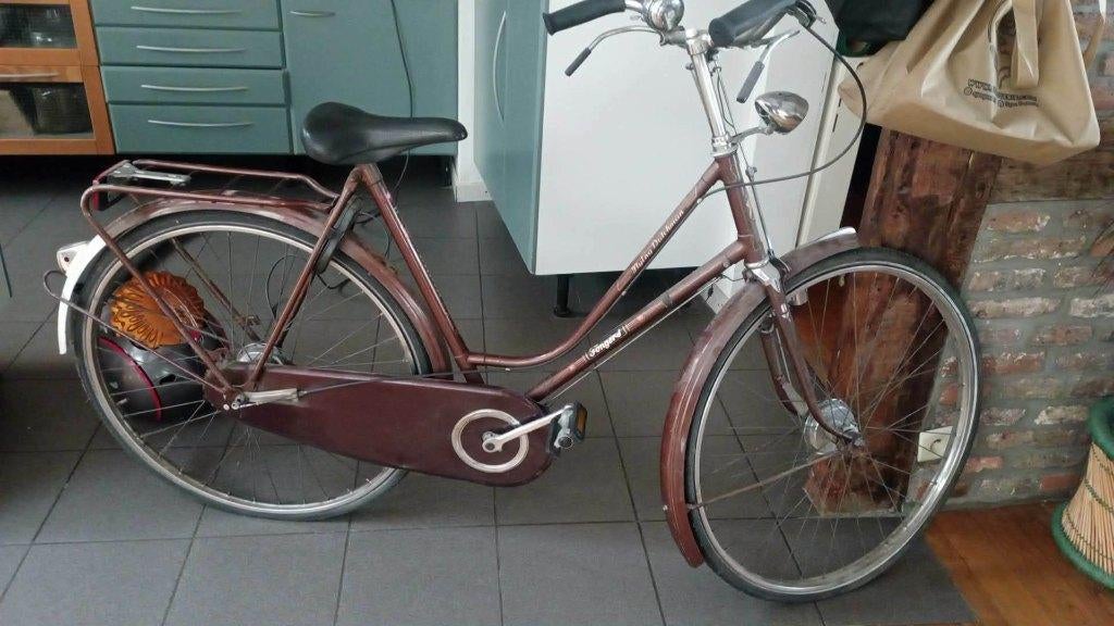 Vélo de ville Hollandais, Vélos & Vélomoteurs, Vélos | VTT & Mountainbikes, Utilisé, Autres marques, Enlèvement