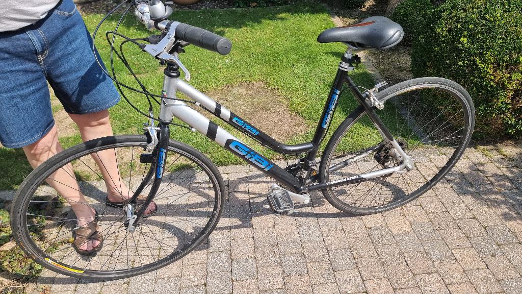 Damesfiets, Fietsen en Brommers, Ophalen, Gebruikt, Dames