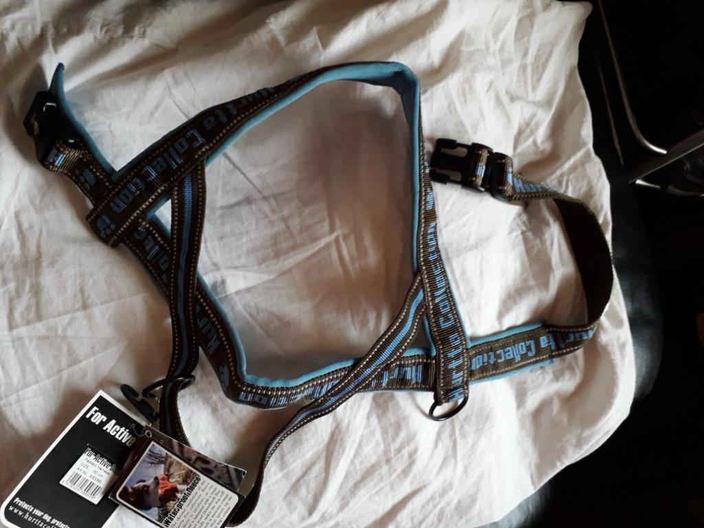 Harnais pour chien, harnais de marche, Animaux & Accessoires, Enlèvement ou Envoi, Neuf