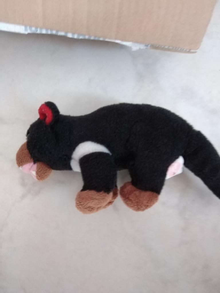 knuffel zoo planckendael zwarte beer doos november 2025), Ophalen of Verzenden, Nieuw, Beer