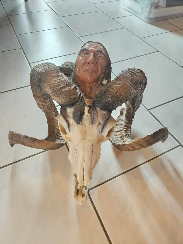 Indianenhoofd - dierenhoofd, Ophalen, Zo goed als nieuw