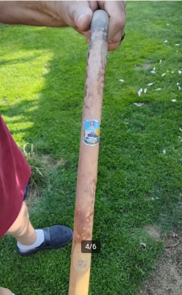 canne , baton de marche , bastogne, Enlèvement ou Envoi, Utilisé