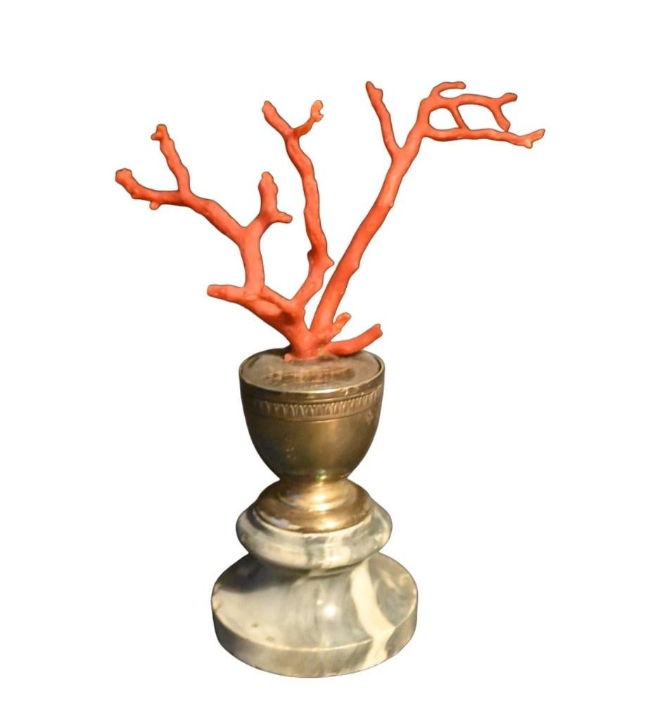 Bloedkoraal op zilveren voet – Wolfers (Antwerpen), Ophalen of Verzenden, Zilver