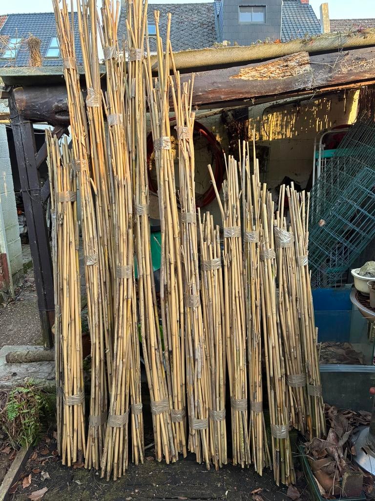 Bamboestokken en tuinplanten, Tuin en Terras, Schuttingen, Ophalen, Nieuw