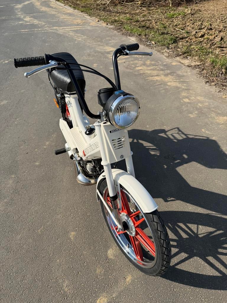 Honda Camino Créme sport - B klasse, Enlèvement