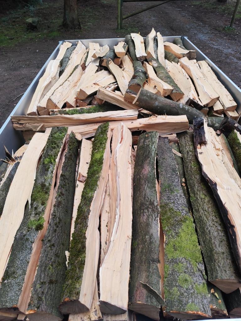 Bois de chauffage hêtre vert, Enlèvement, Hêtre