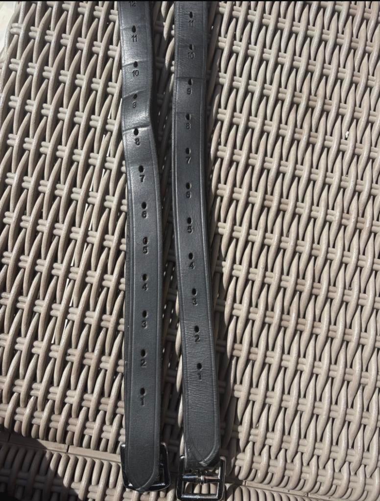 Etrivière, Dieren en Toebehoren, Ophalen of Verzenden, Zo goed als nieuw, Overige soorten