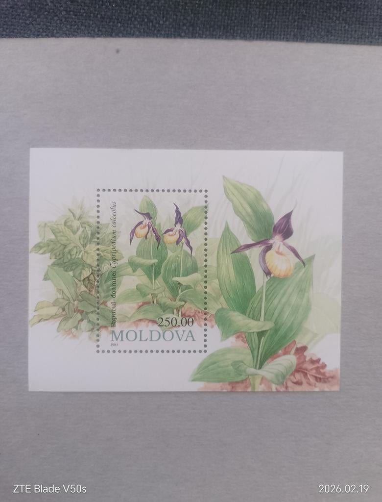 Postzegels Moldova Orchidee, Postzegels en Munten, Postzegels | Thematische zegels, Ophalen of Verzenden