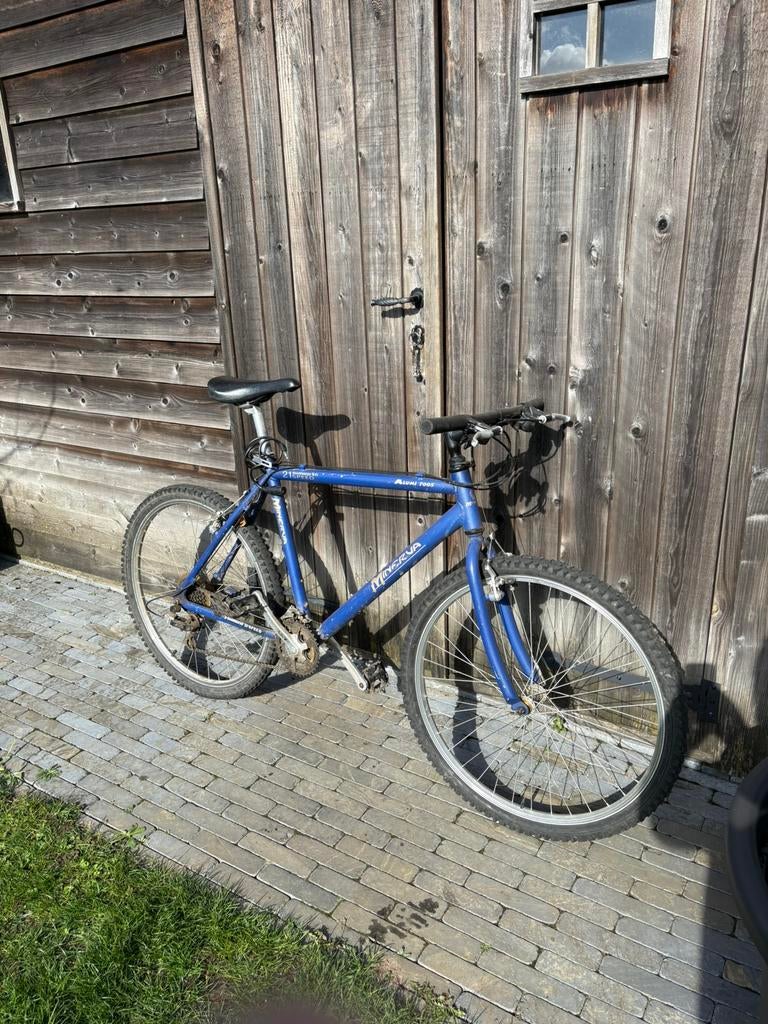 Mountainbike, Vélos & Vélomoteurs, Enlèvement, Utilisé, Plus de 20 vitesses, Autres marques