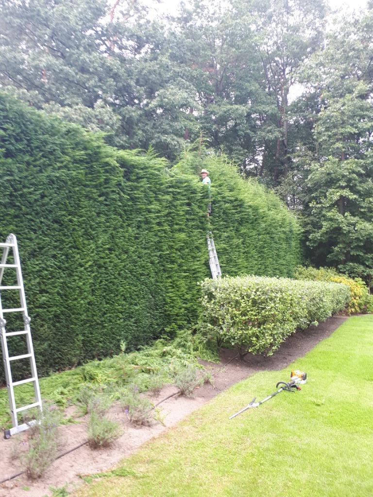 Tuinman , Tuin Onderhoud ,Tuin Aanleg, Diensten en Vakmensen, Garantie, Tuinontwerp