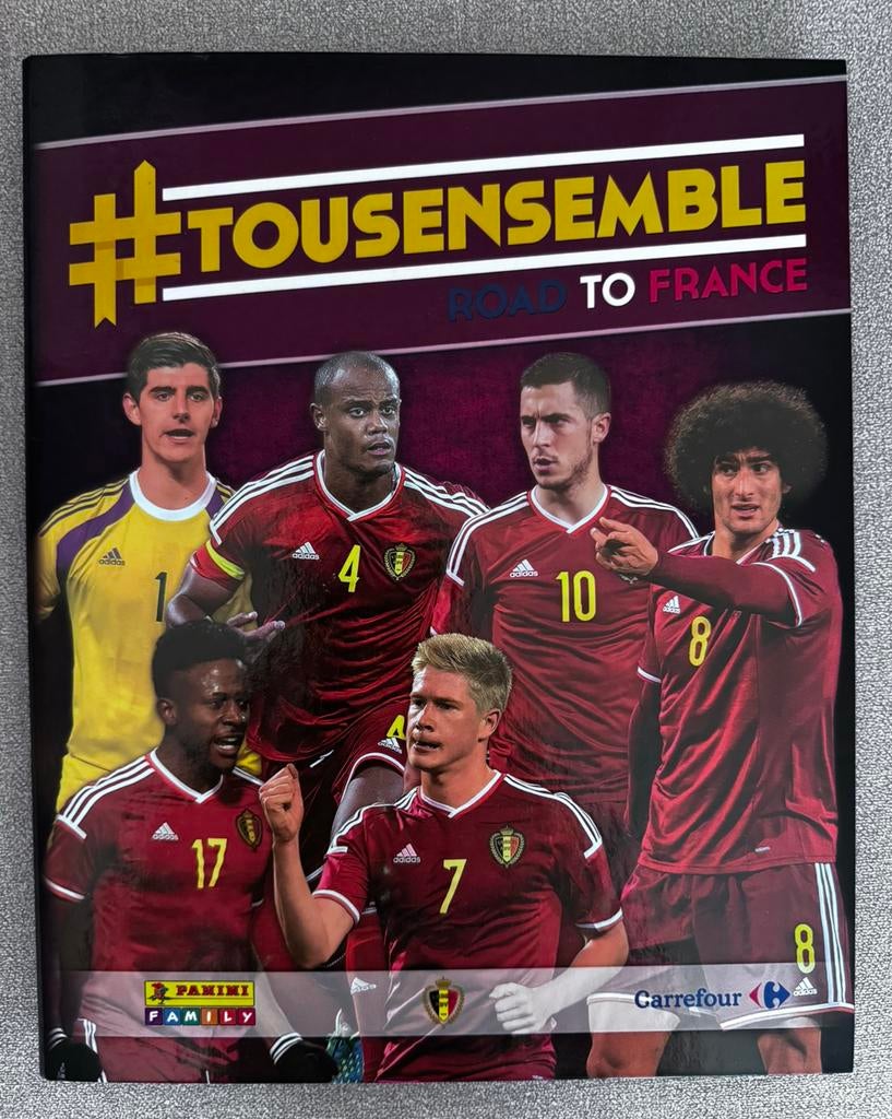 Album Panini #TousEnsemble Euro 2016 complet, Enlèvement ou Envoi, Comme neuf