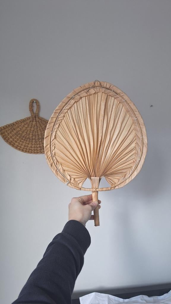 Wanddecoratie set palmbladen, Huis en Inrichting, Woonaccessoires | Wanddecoraties, Ophalen