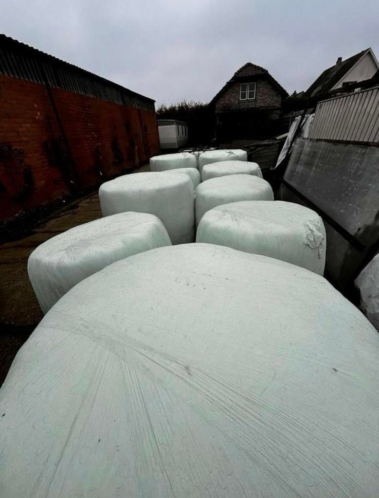 Ronde voordroog & kuilvoer pakken, Dieren en Toebehoren, Ophalen, Vee