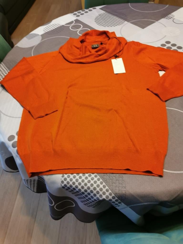 Green ice, Kleding | Dames, Truien en Vesten, Maat 42/44 (L), Nieuw, Oranje, Ophalen of Verzenden