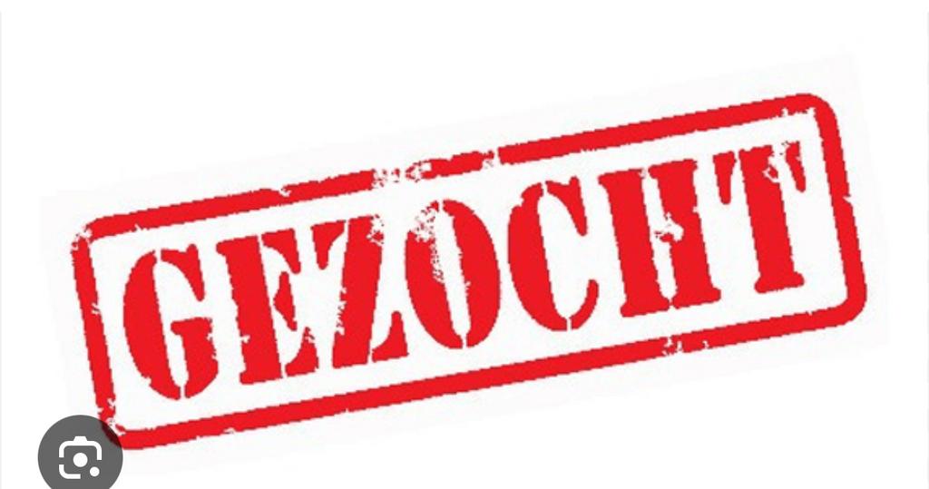 Gezocht : valk/ buckskin merrie, Animaux & Accessoires, Chevaux, Jument